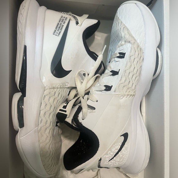 Nike Shoes - Lebron Witness V Basketball shoes